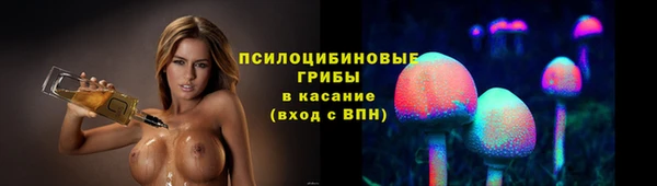 гидропоника Бородино