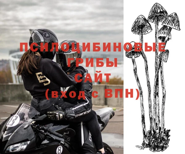 гидропоника Бородино